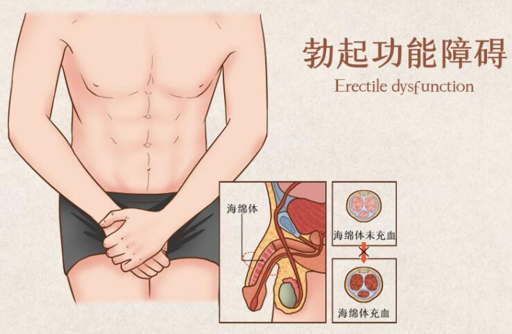 <a href='http://www.0379nkyy.com/' target='_blank'><u>洛阳男科医院</u></a>介绍哪些男性更容易出现功能性问题以及如何预防